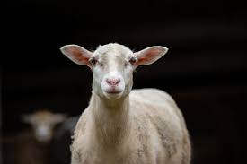 Maarten van den Berg tweet media