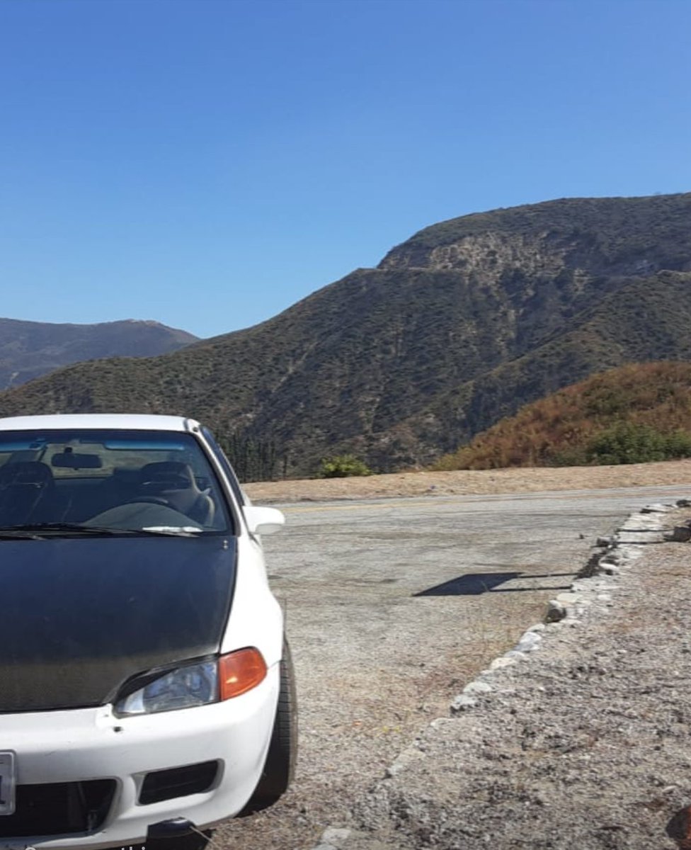 JOHNNY ROTTEN tweet media