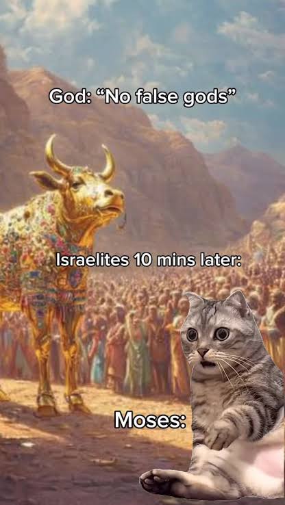 seekracle tweet media