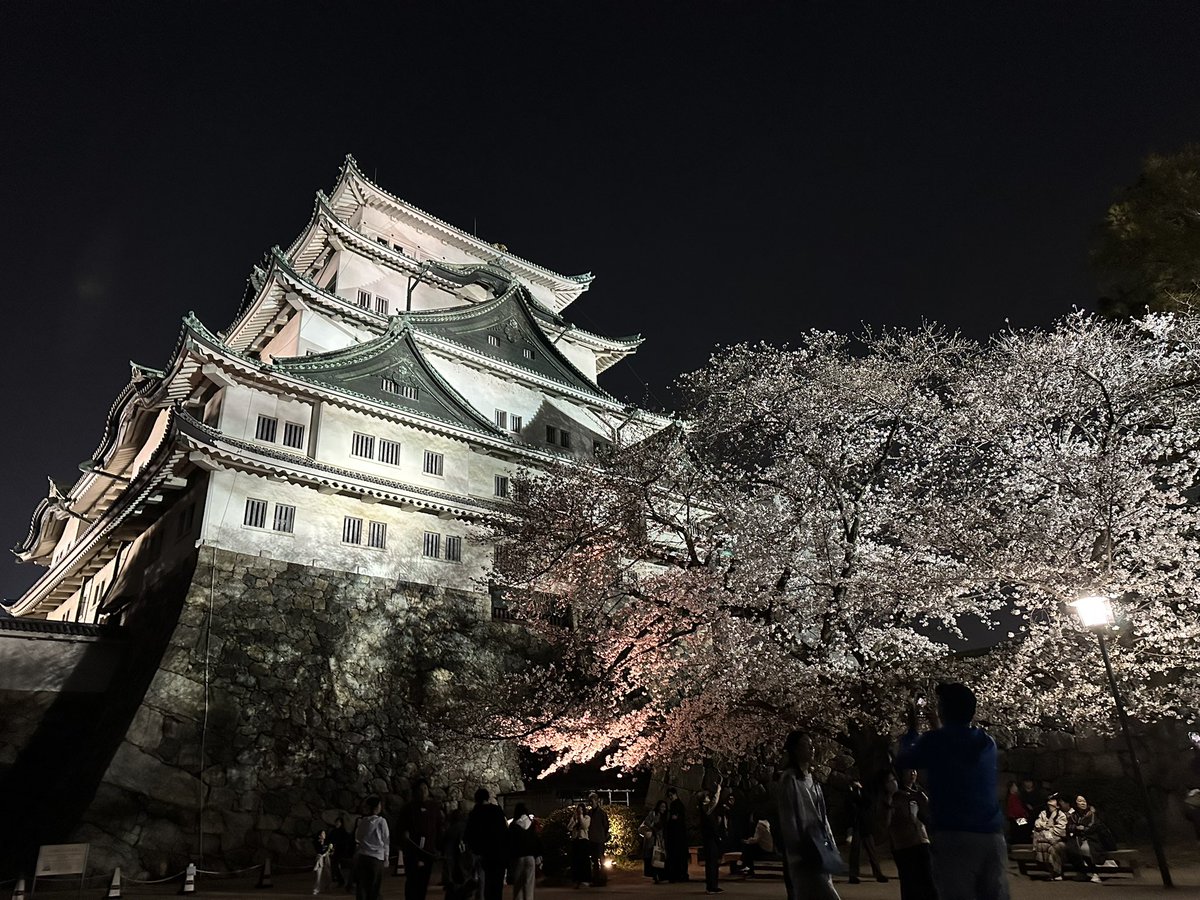 昨日は家族で、名古屋城へお花見に行ってきました🌸

満開の桜の下で、ゆっくりとした時間を過ごせてとてもリフレッシュできました。
普段は仕事に追われがちですが、こういう時間も大切ですね。

今週もよろしくお願いします！