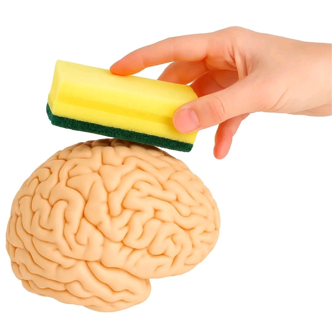 حیات مریم 💫💫 tweet media