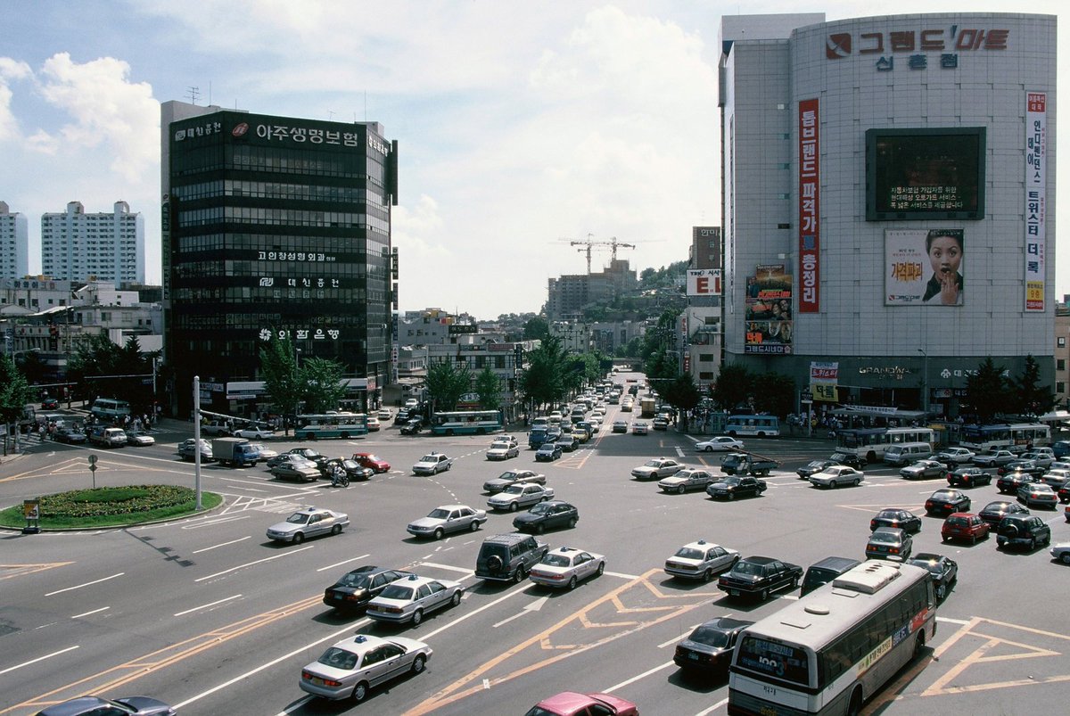 늘푸른소나무 tweet media