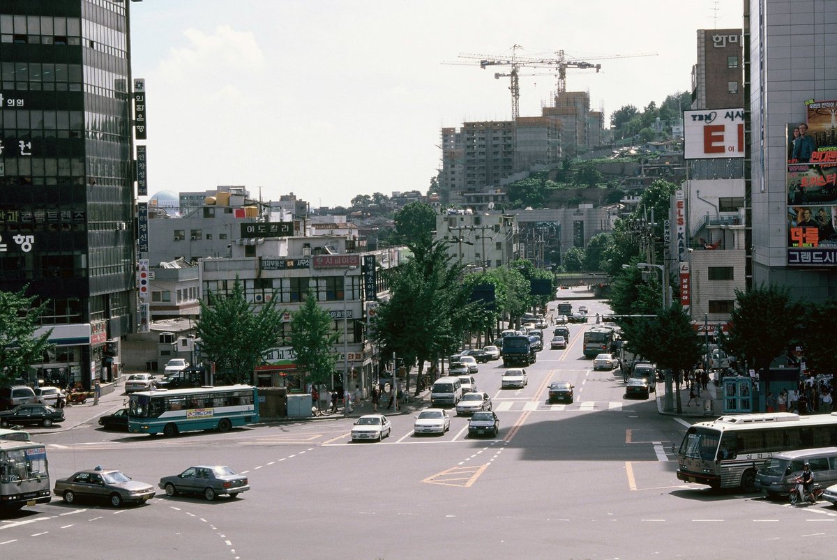 늘푸른소나무 tweet media