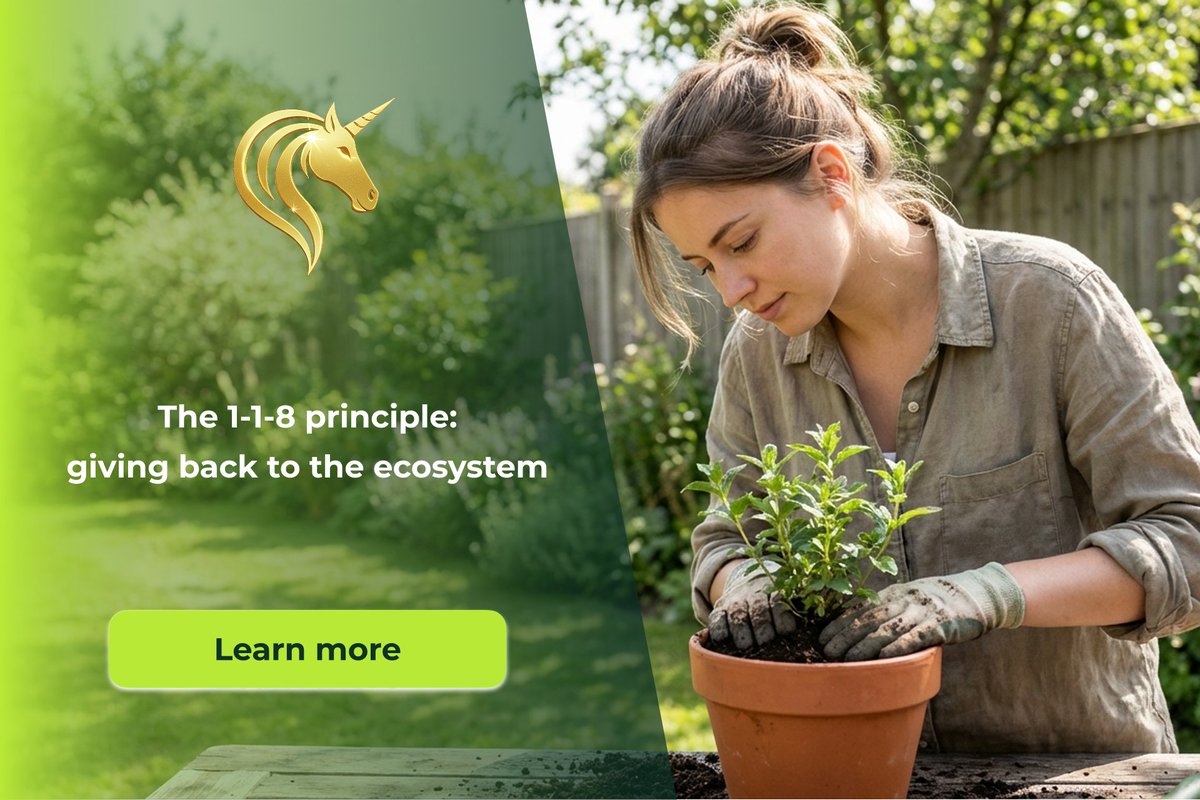 SanTerris One tweet media