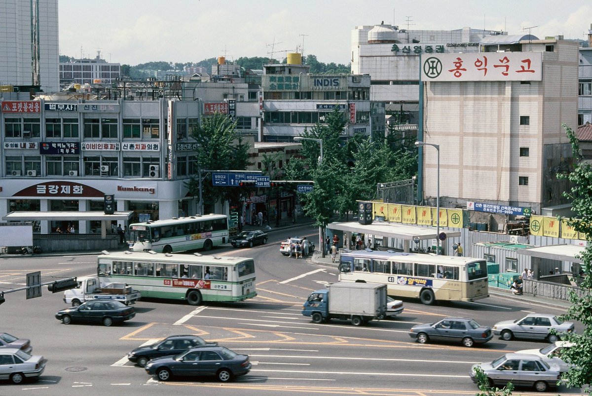 늘푸른소나무 tweet media