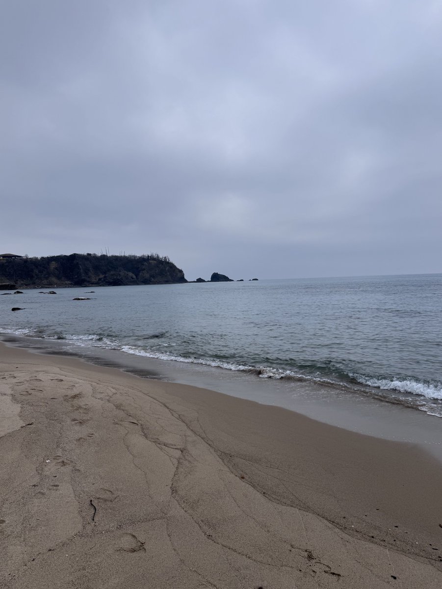 銀鱗舞舞🦑✨✨ tweet media