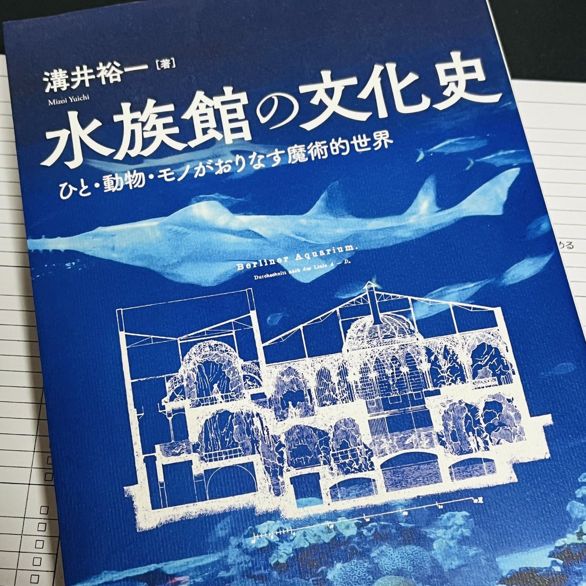 伊藤 拓也（taku）｜水族館を語りたいライター tweet media