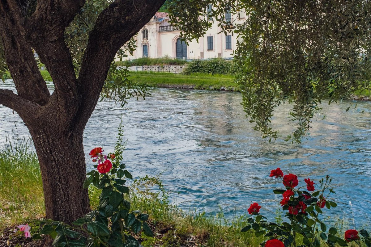 ParcoNav's tweet photo. Storia, cultura, ambiente, eventi, commercio ed eccellenze produttive: l'#Abbiatense sorprende ed è bellissimo raccontarlo da tanti anni.

Seguiteci: https://t.co/7FU2HYA4rU

#naviglio #navigliogrande #ticino #parcodelticino #turistinelterritorio @inLOMBARDIA https://t.co/kpKPVfn1wQ