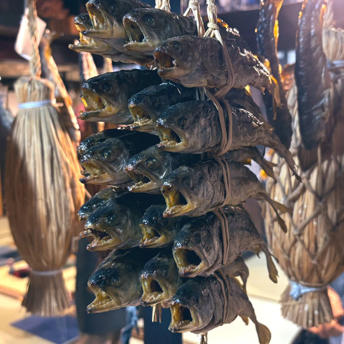 マ.com@MACOM TOKEN tweet media