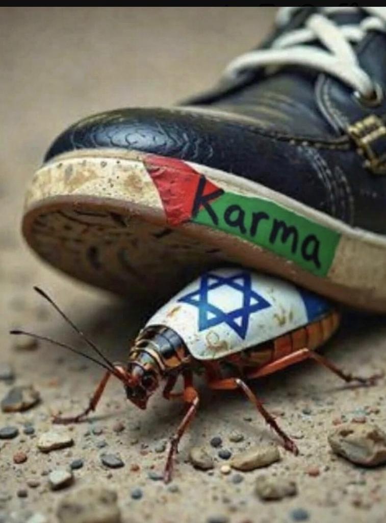 Red Shark tweet media