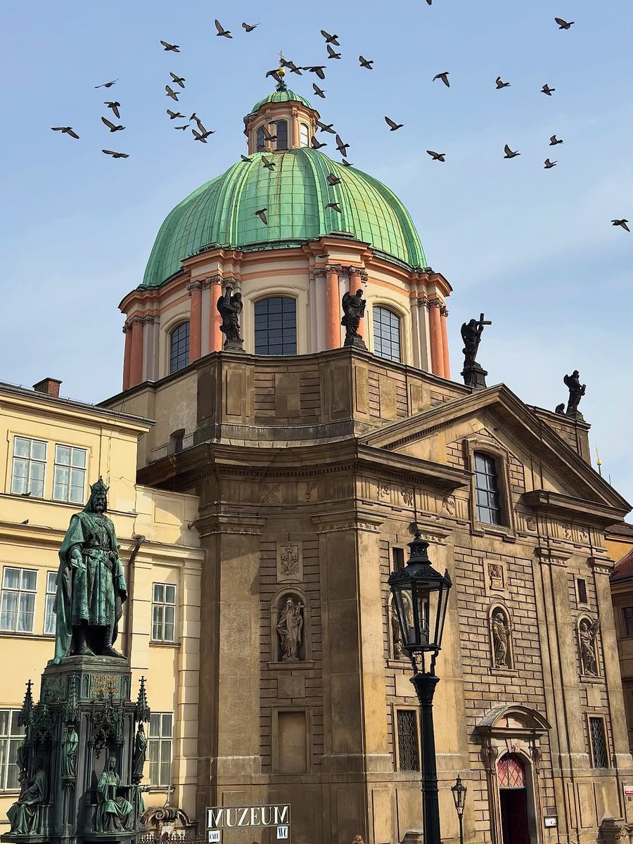 Beauty Explorer tweet media