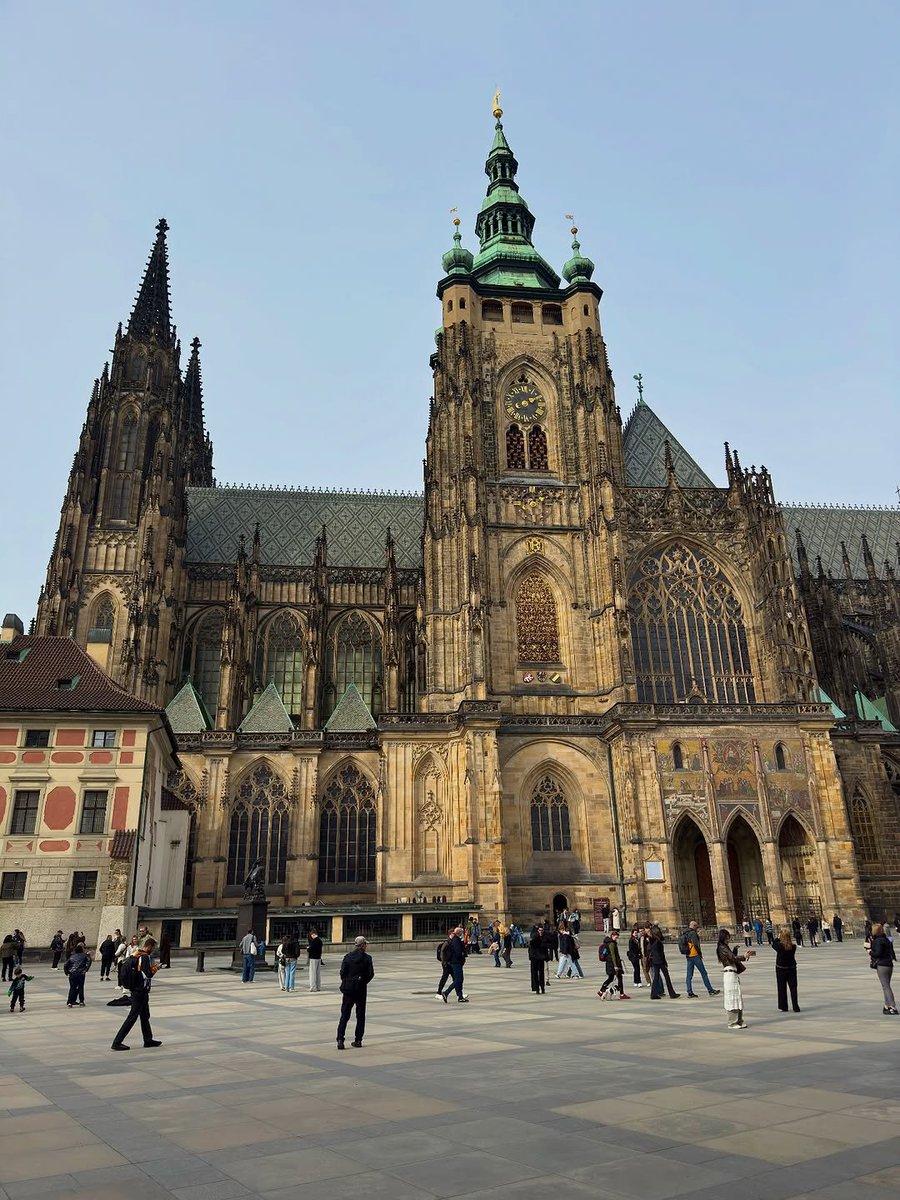 Beauty Explorer tweet media