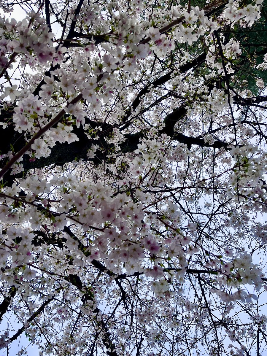 氏原ワタル tweet media