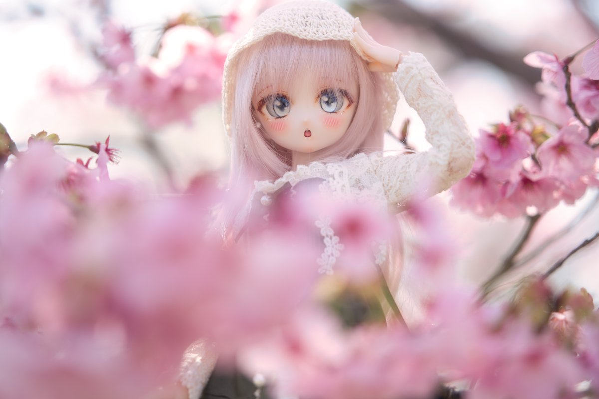 さんぽRider tweet media