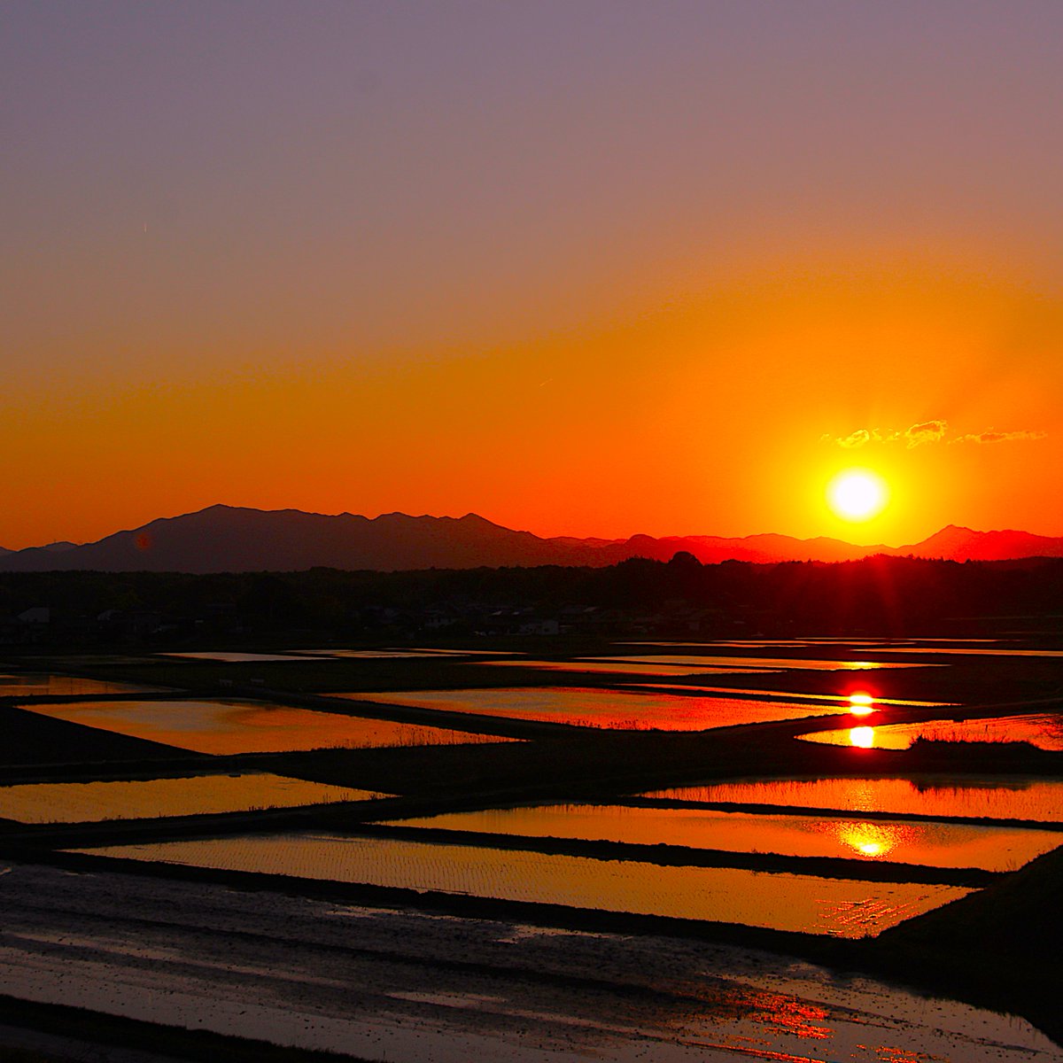 粂治郎 ❤︎ 皆様に感謝🍀 tweet media