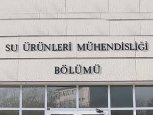 Brian O'Conner tweet media