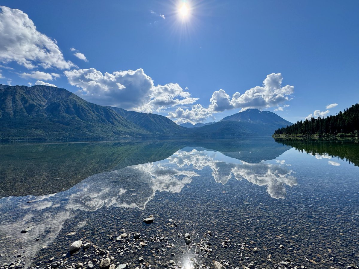 Martin G tweet media