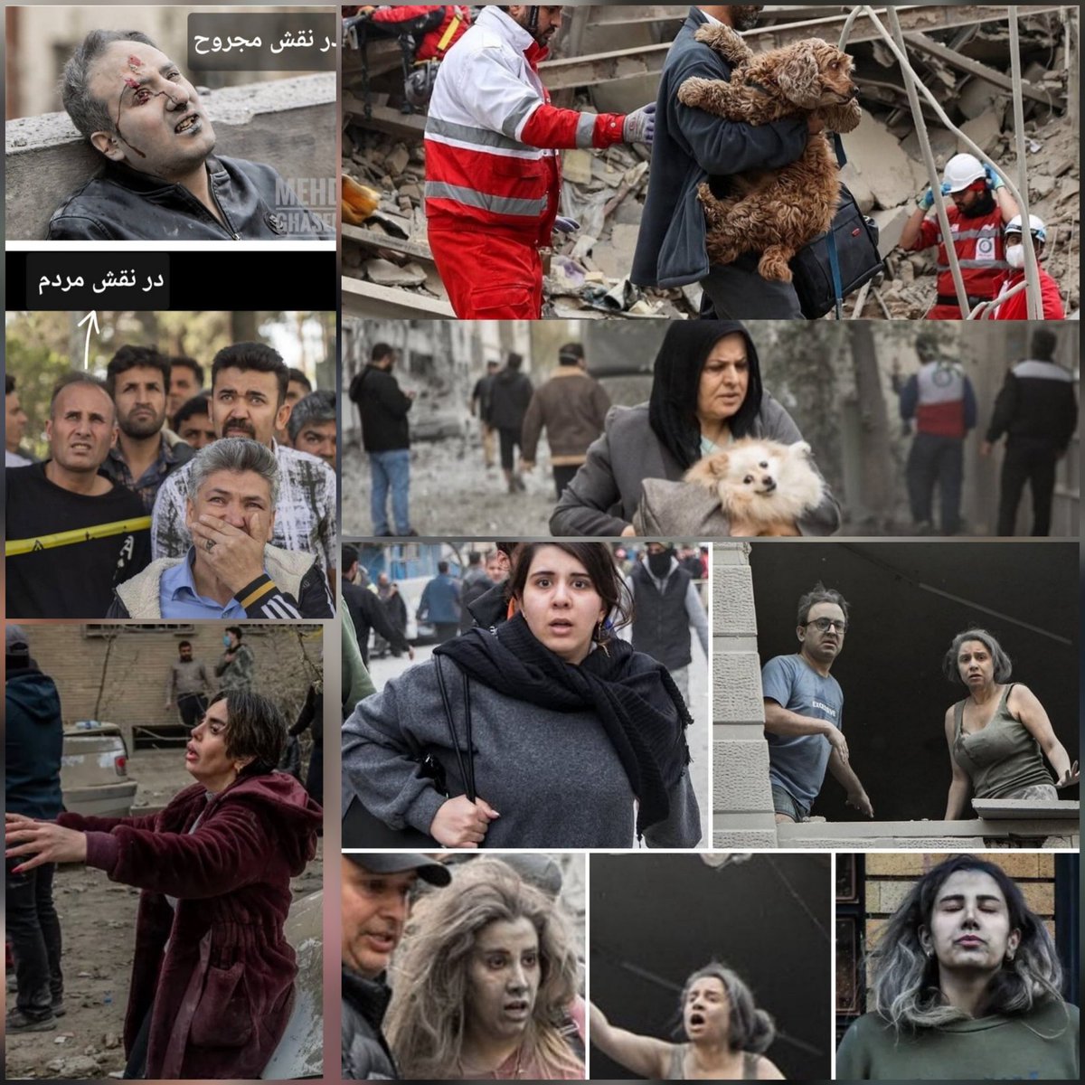 سیاوش (ال چ) tweet media