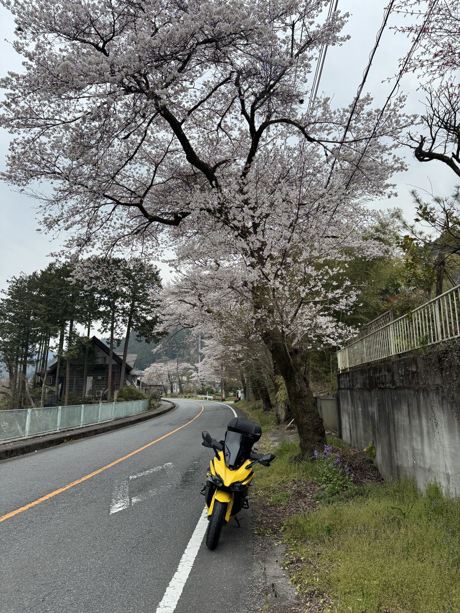 ばっちー@GSXS1000GT tweet media