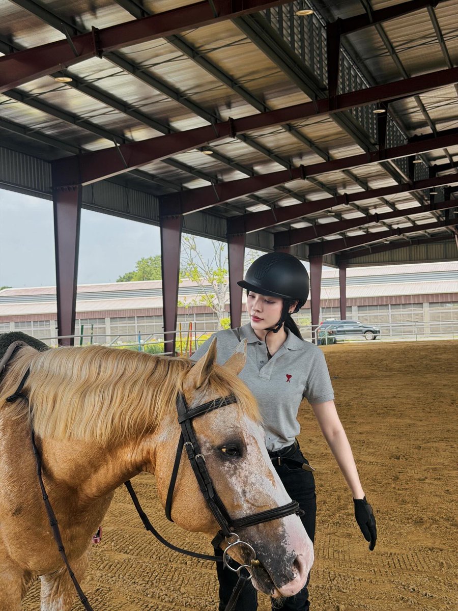 🐝 Bee tweet media