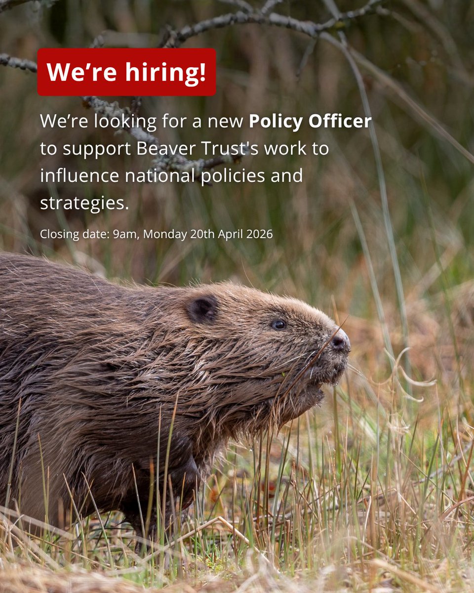 Beaver Trust tweet media