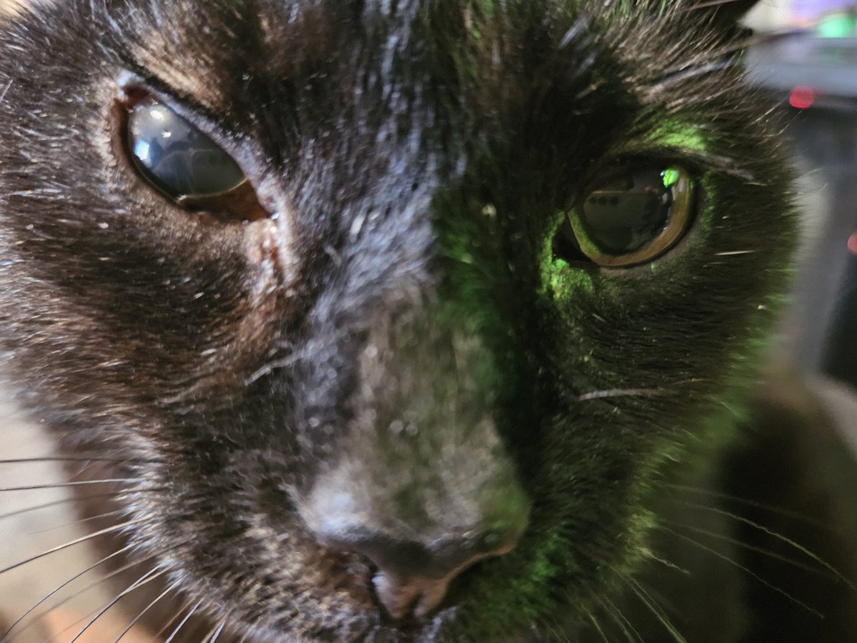 Angel Annie. tweet media