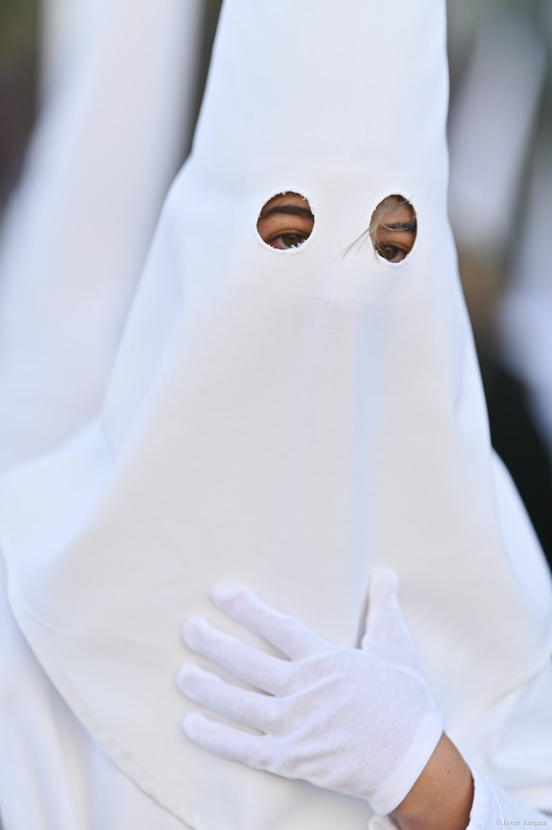 Javier Vázquez 📸 tweet media