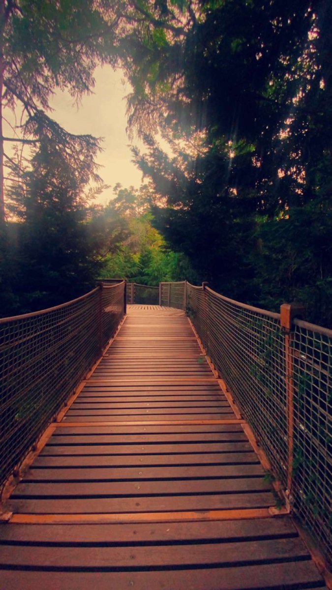 عبدالله 📿🥈🇸🇦 tweet media