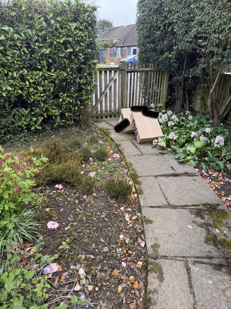 davstar16's tweet photo. @EvriUK_Official is it now an extra charge for doorstep delivery? Also wasn’t aware it came with free gardening services too?! Crushed flowers, crushed boxes we get the whole package! https://t.co/lQwtPbBErs