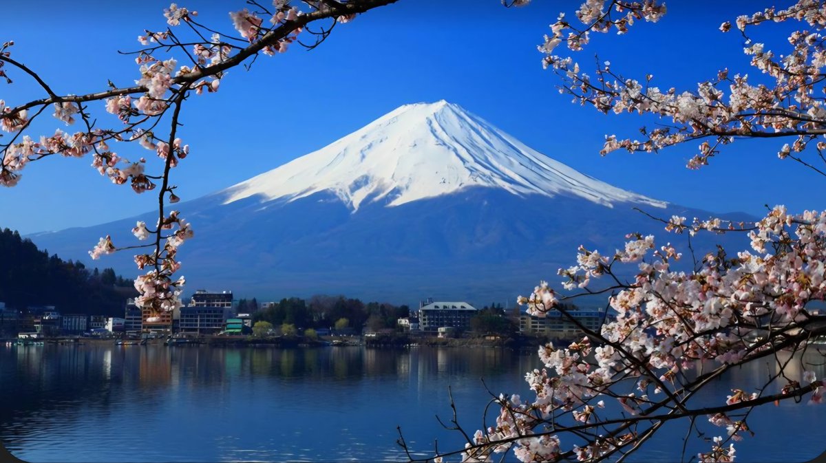 Dane DeForest tweet media