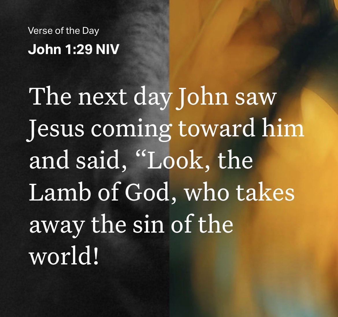 Chelley/chellace ♠️🍒🍒updates tweet media