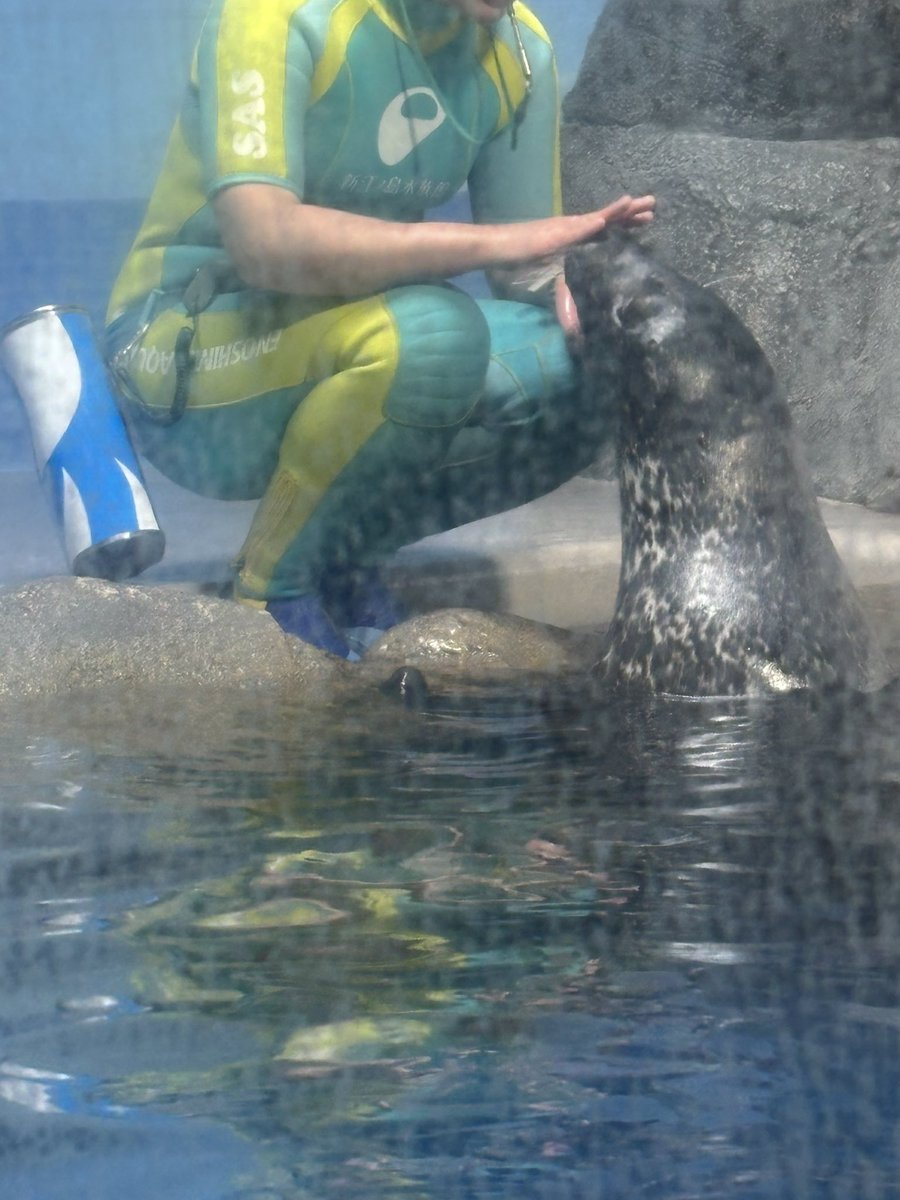 カオリ tweet media