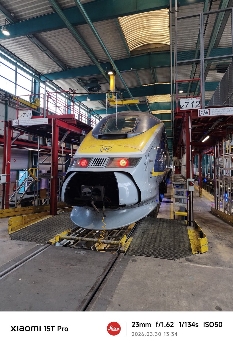 Alexis D ;) 🚄🚄🚄 tweet media