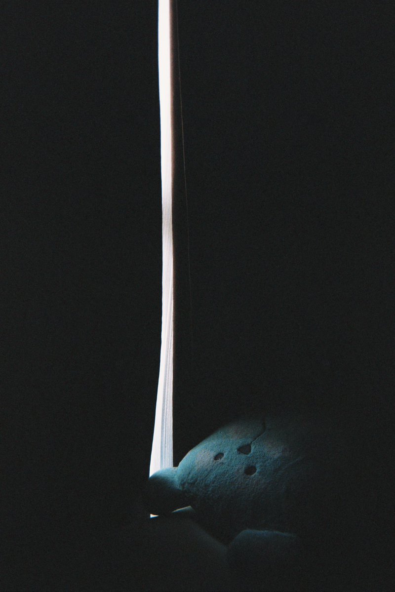 PPC | Punctum Photo Curation tweet media