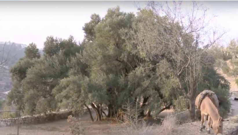 Paul-Éric Blanrue tweet media