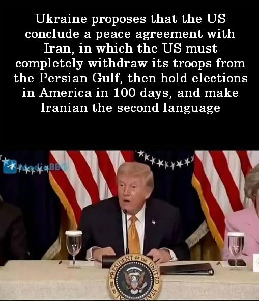 Angry cat 🇺🇦 tweet media