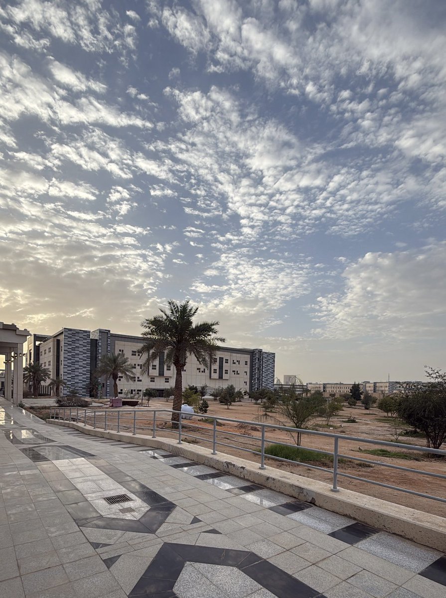 Munirah Abdulaziz tweet media