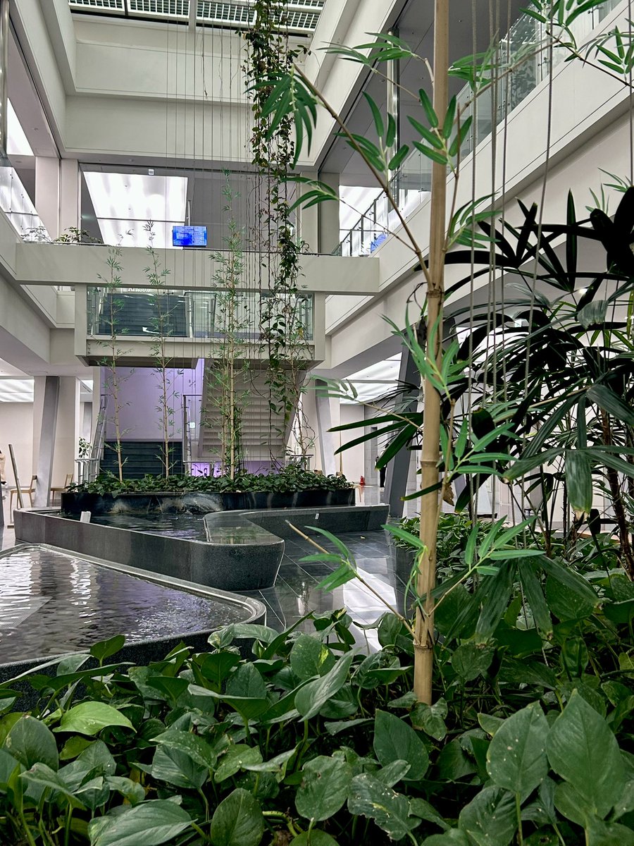 문어빵 tweet media