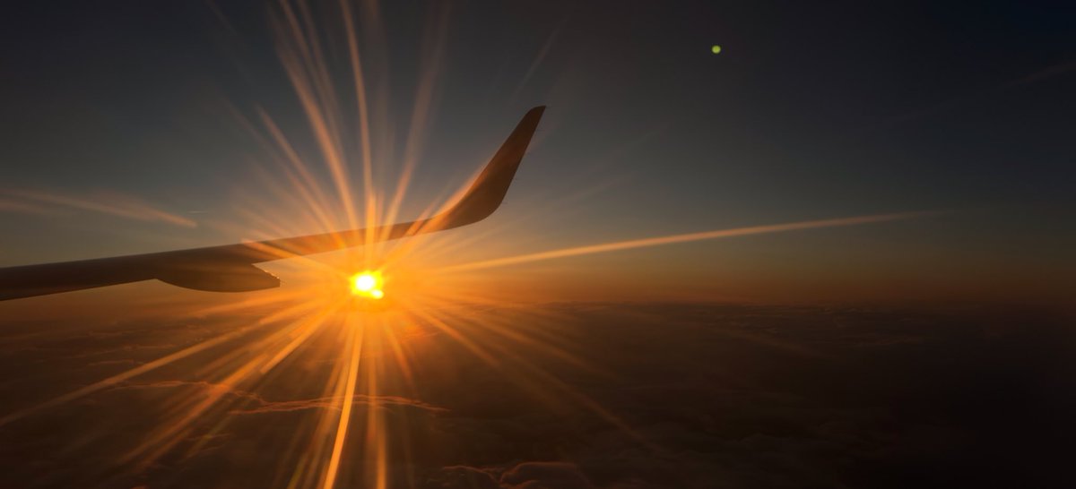 𝘈𝘪𝘮𝘢𝘳 ✈︎ tweet media