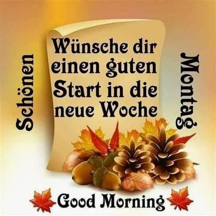 Scotland tweet media