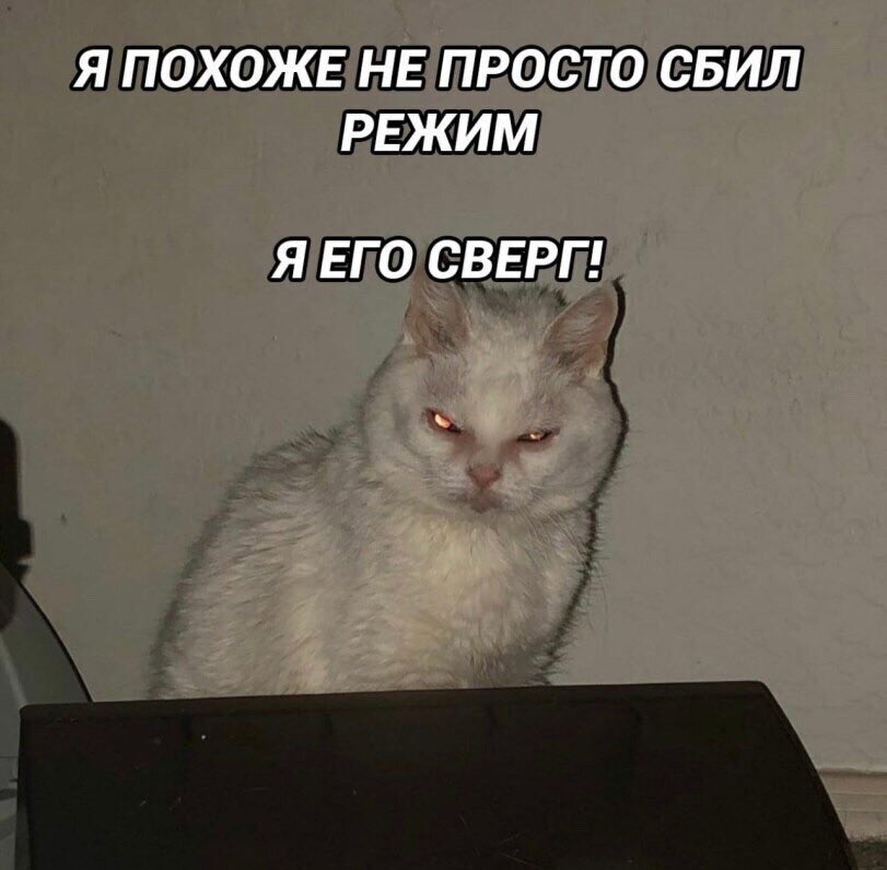 алко-сутулая собака tweet media