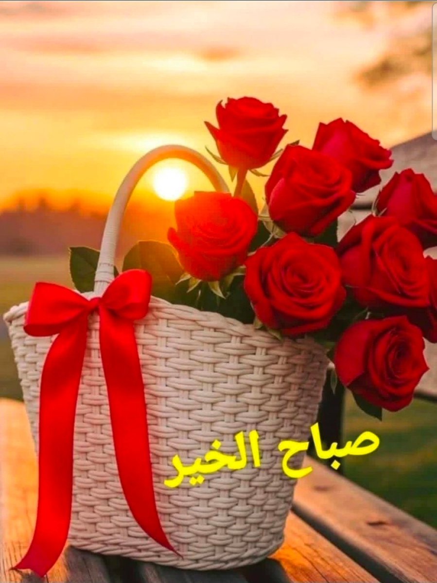 Hoda Zayed tweet media