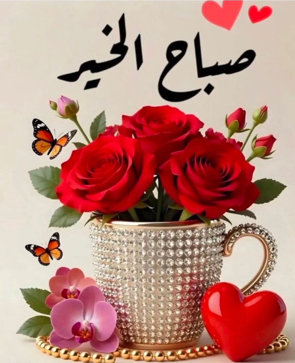 Hoda Zayed tweet media