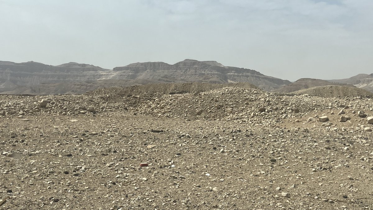 Marcell Fóti 🪨 tweet media