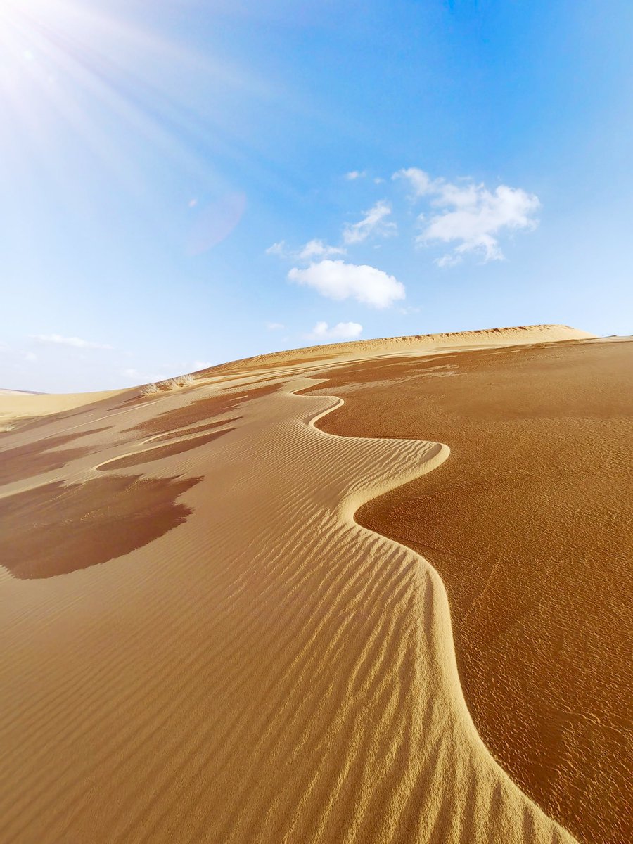 عبدالله tweet media