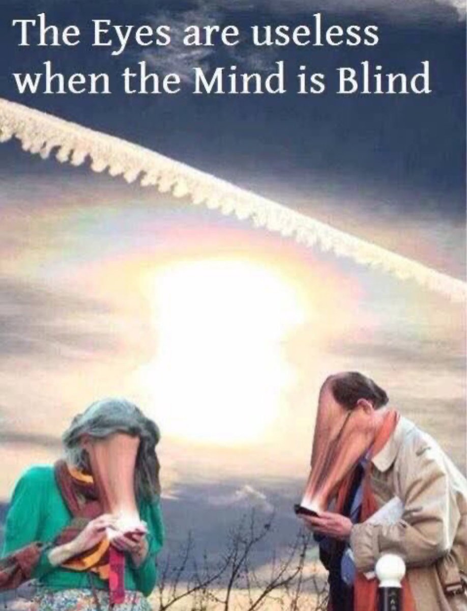 Synapse Annex tweet media