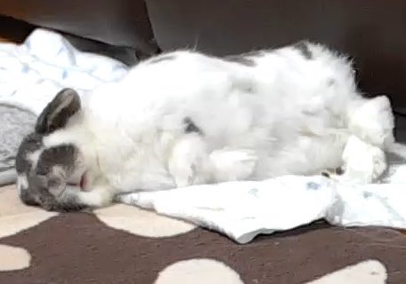 𝕙𝕚𝕟𝕒𝕥𝕒 tweet media