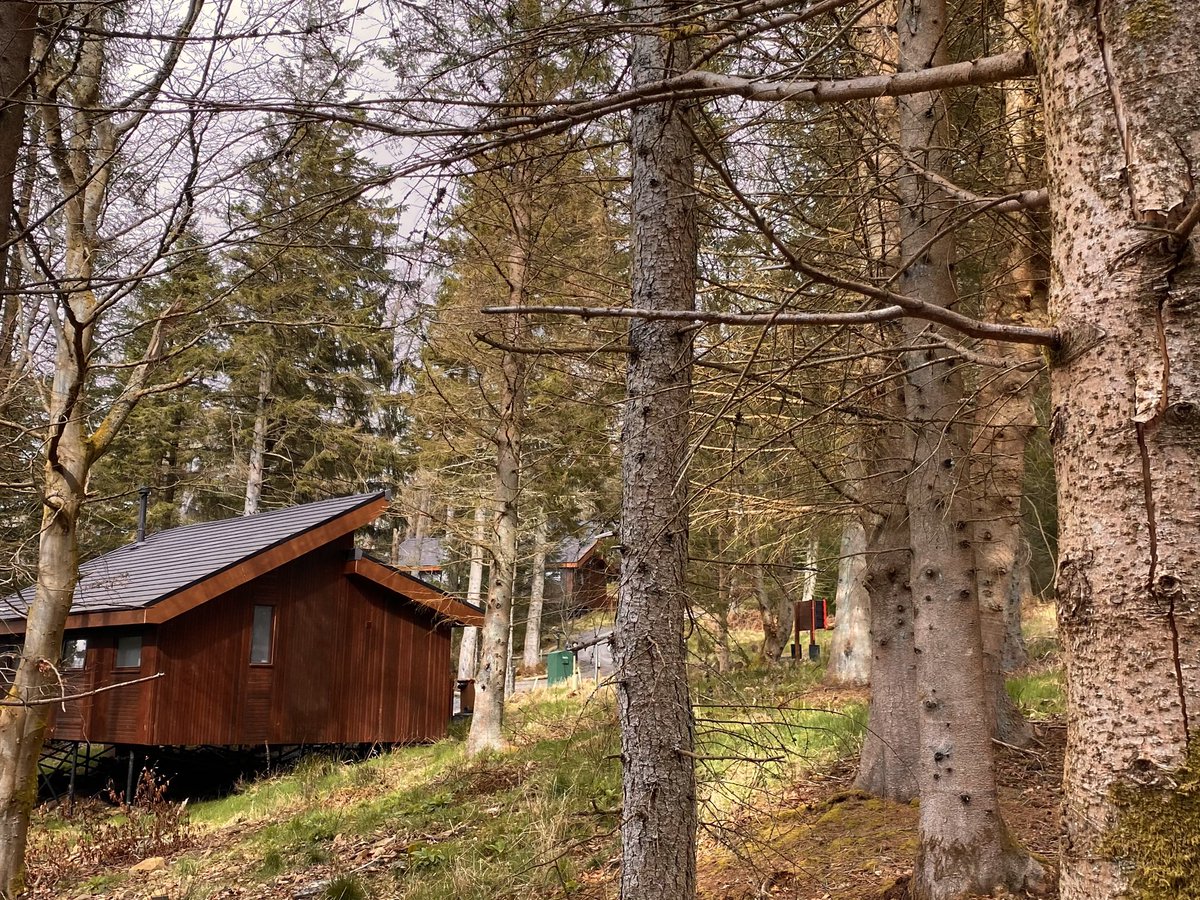 Kode Kaldwin 🦇 tweet media