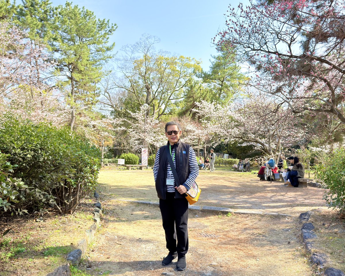tipamart's tweet photo. Maruyama Park @ Kyoto City, Japan 🇯🇵 🌸 ตื่นตากับซากุระ ณ สวนมารุยาม่า เกียวโต #traveler #visitjapan #kyoto #travelover #myjourney https://t.co/Gbmv8xqNEt