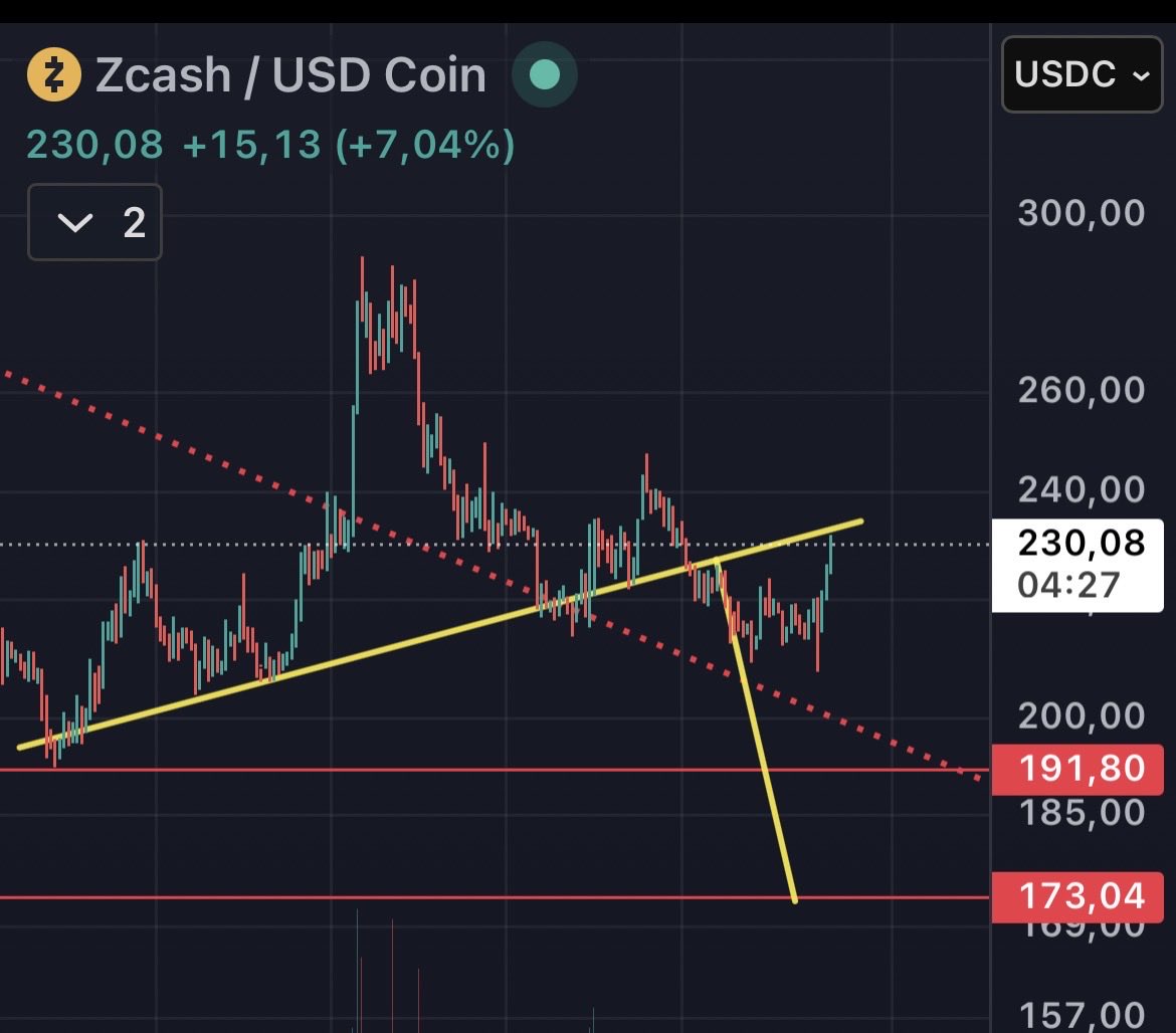 Giant_Z 🛡️ tweet media